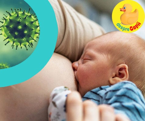 Alaptarea si coronavirusul: ce facem daca mama este infectata cu acest virus