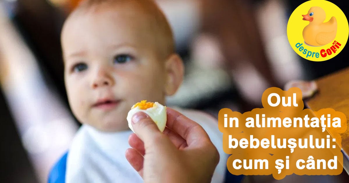 Oul în alimentația bebelușului: cum și cand - și retete cu ou pentru bebeluși