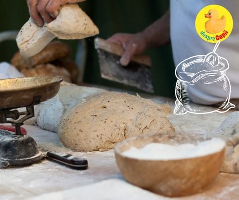 Paine rapida si aromata cu seminte si faina integrala - o reteta usoara si gustoasa