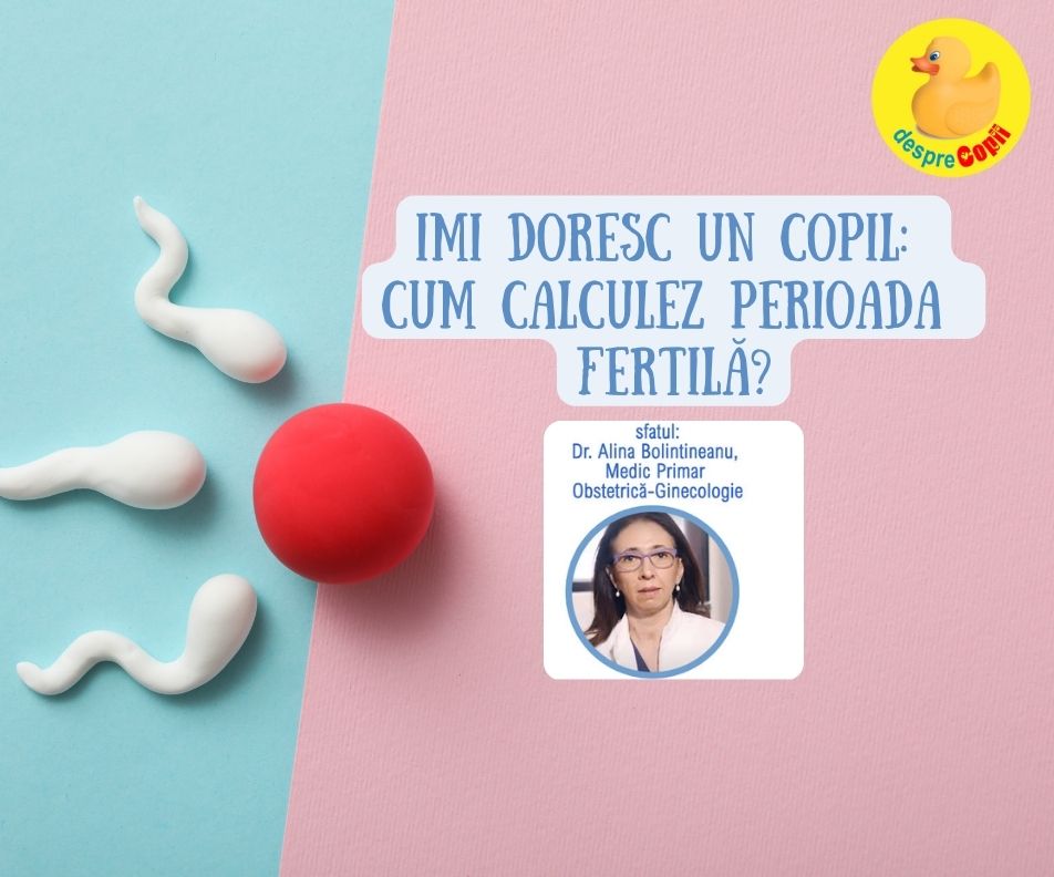 Imi doresc un copil: Cum calculez perioada fertila? Calculul ovulatiei si sfatul medicului