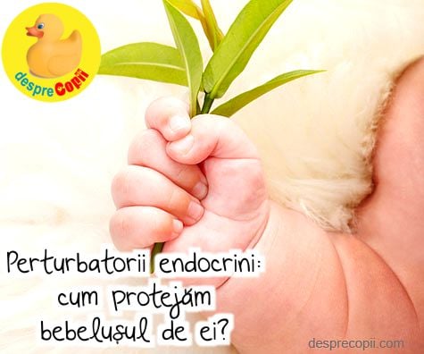 Perturbatorii endocrini – cum protejam bebelusul de ei?