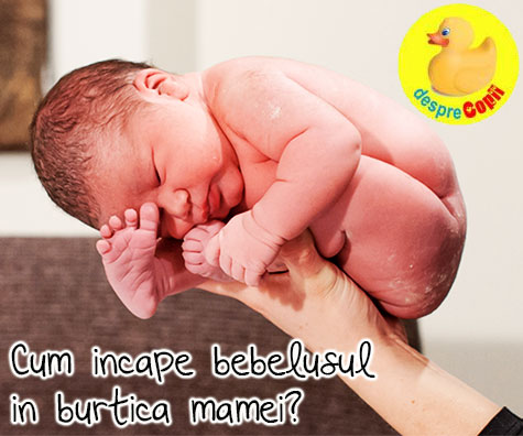 Iata cum sta bebelusul in burtica mamei - imagini pline de emotie surprinse in primele secunde la de la nastere