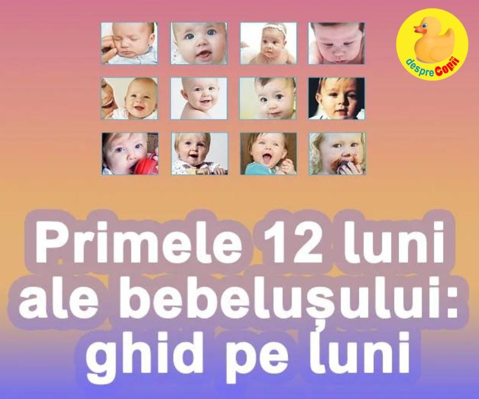 Primele 12 luni ale bebelusului -  ghid pe luni