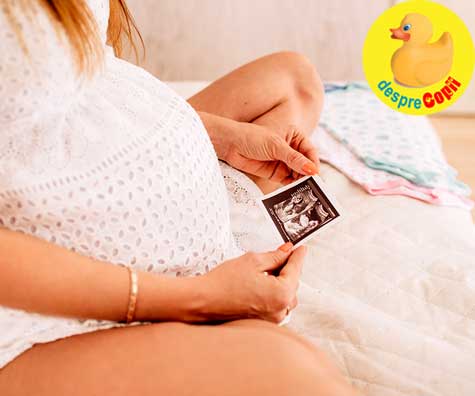 Primele doua etape ale sarcinii: trimestrul I & II de sarcina - jurnal de sarcina