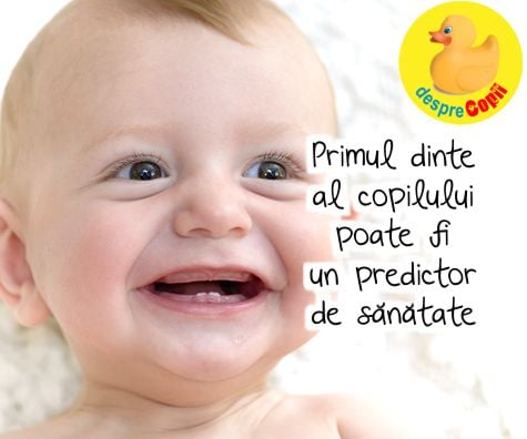 Primul dinte al copilului poate fi un predictor de sanatate. Primul dinte prea devreme sau prea tarziu - cauze si sfaturi.