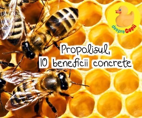 Propolisul - 10 beneficii concrete pentru sanatatea familiei tale