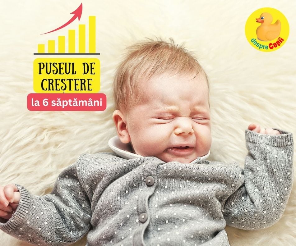 Puseul de crestere la 6 saptamani sau saltul de crestere si apetit - 6 caracteristici