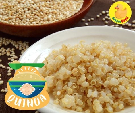 Quinoa pufoasa - reteta pentru bebelusi