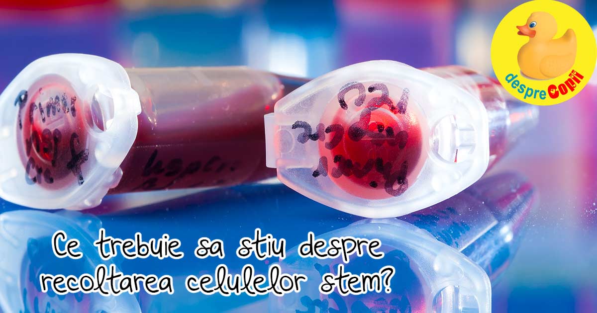 Sarcina: Facem recoltarea celulelor stem sau nu? Iata sfatul medicului
