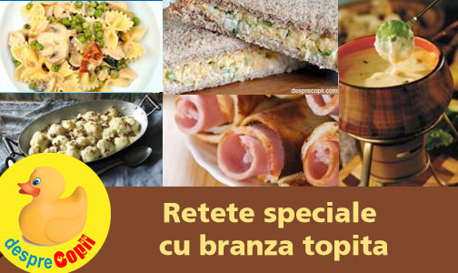 Retete speciale cu branza topita, reci si la cuptor, gatite de casa