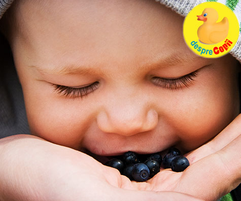 Cand poate bebelusul sa manance afine? Sfatul medicului pediatru