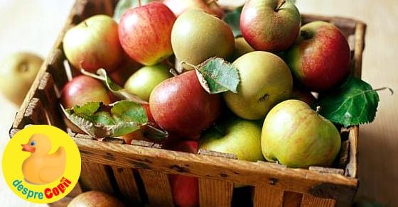 Mărul, regele toamnei romanești: 24 rețete cu mere care trebuiesc incercate și nu veți regreta