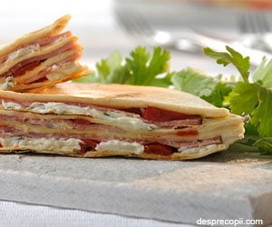 Quesadilla sandwich