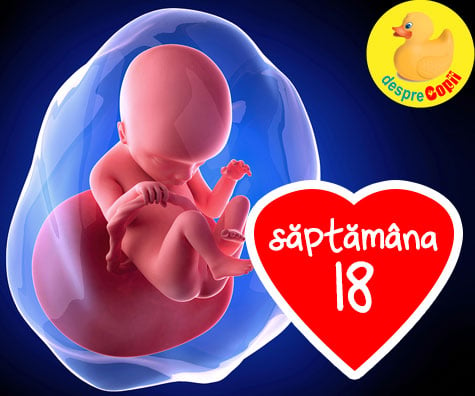 Eveniment in saptamana 18 de sarcina - saptamana cand poti simti prima miscare a bebelusului tau