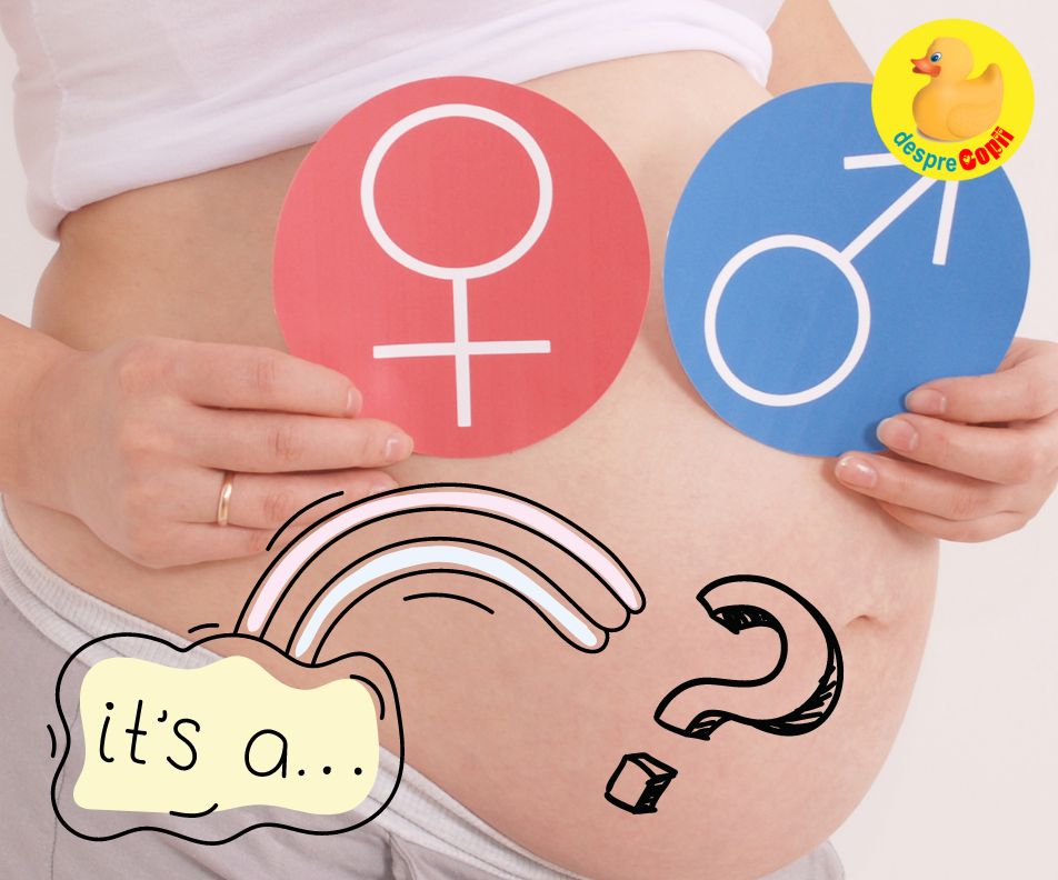 Saptamana 26 si sexul bebelusului ramane inca o surpriza - jurnal de sarcina