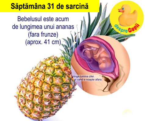 Saptamana 31 de sarcina: bebe are acum formate toate cele 5 simturi (VIDEO)