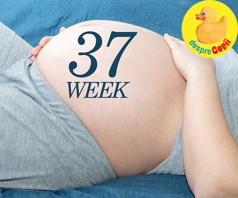 Cu burtica la 37 de saptamani - jurnal de sarcina
