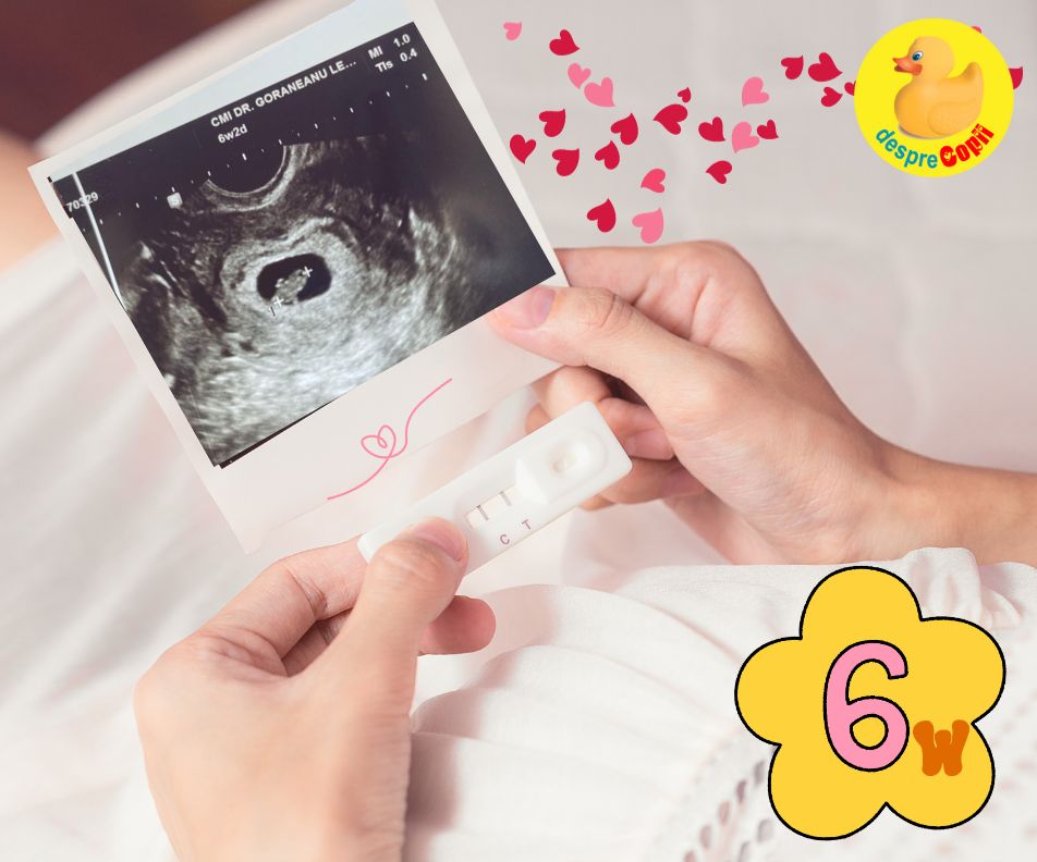 Saptamana 6: a doua ecografie cu micul bob din burtica - jurnal de sarcina