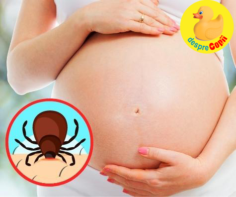 Ce se intampla cand esti gravida, alaptezi si te musca o capusa - jurnal de sarcina