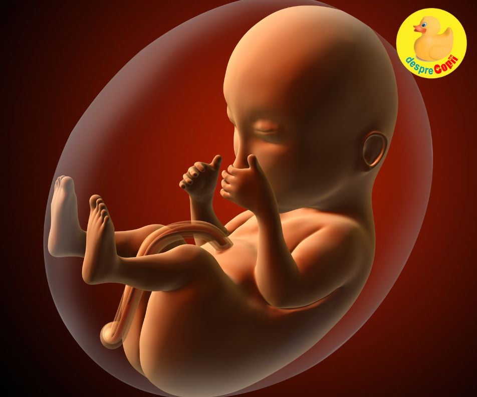 In burtica mamei: dezvoltarea vederii bebelusului