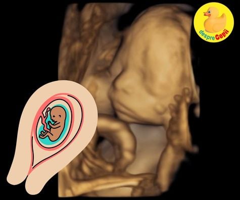 Gata cu primul trimestru de sarcina! Concluzii si simptome de sarcina - jurnal de sarcina