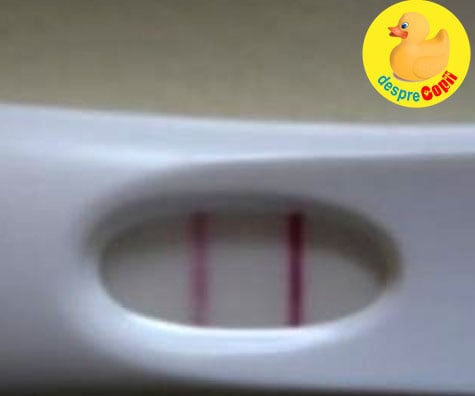 Simptomele sarcinii incipiente la prima sarcina - jurnal de sarcina