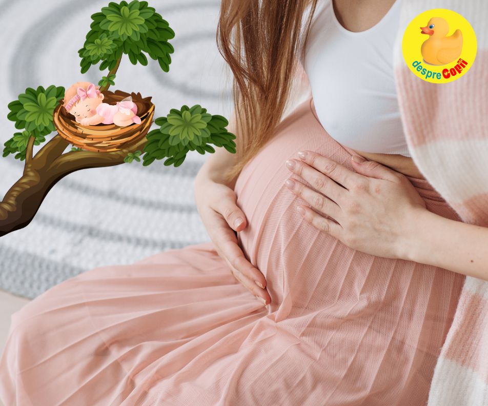 Saptamana 28: am ajuns la o noua etapa: sindromul cuibului - jurnal de sarcina