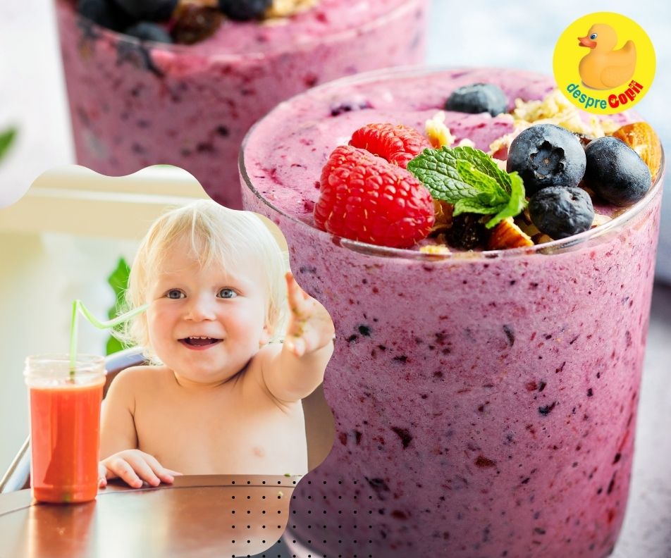 Smoothie delicios cu afine - reteta pentru bebelusi peste 1 an