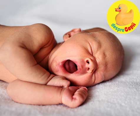Programul de somn al nou-nascutului: la ce sa ne asteptam si DIAGRAMA de somn