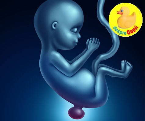 Spina Bifida sau ruptura de coloana la nou-nascuti: preventie, detectare, tipuri si tratament imediat