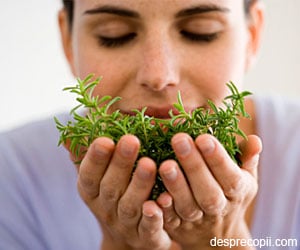 11 Plante magice care previn stresul