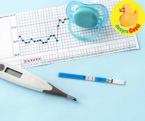 Temperatura bazala a corpului si ovulatia. Iata cum se monitorizeaza si cum te ajuta sa stii cand e ovulatia
