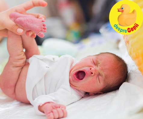 Urina nou-nascutului - un ghid de pipi pe intelesul parintilor