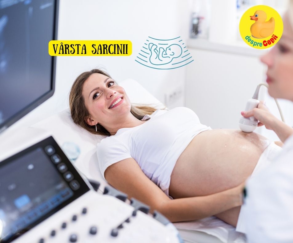 Varsta sarcinii: Interpretarea varstei bebelusului prin tehnologia ecografiei