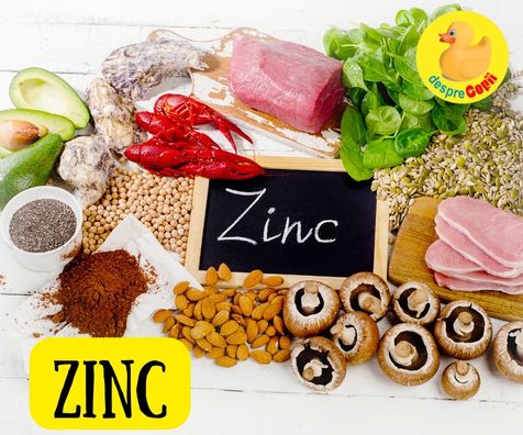 Zincul in alimentatie -  importanta, surse si dozare al acestui mineral campion al imunitatii