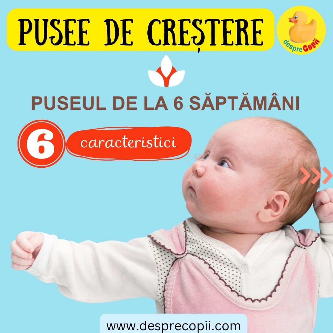 puseu de crestere saptamana 6 - 1