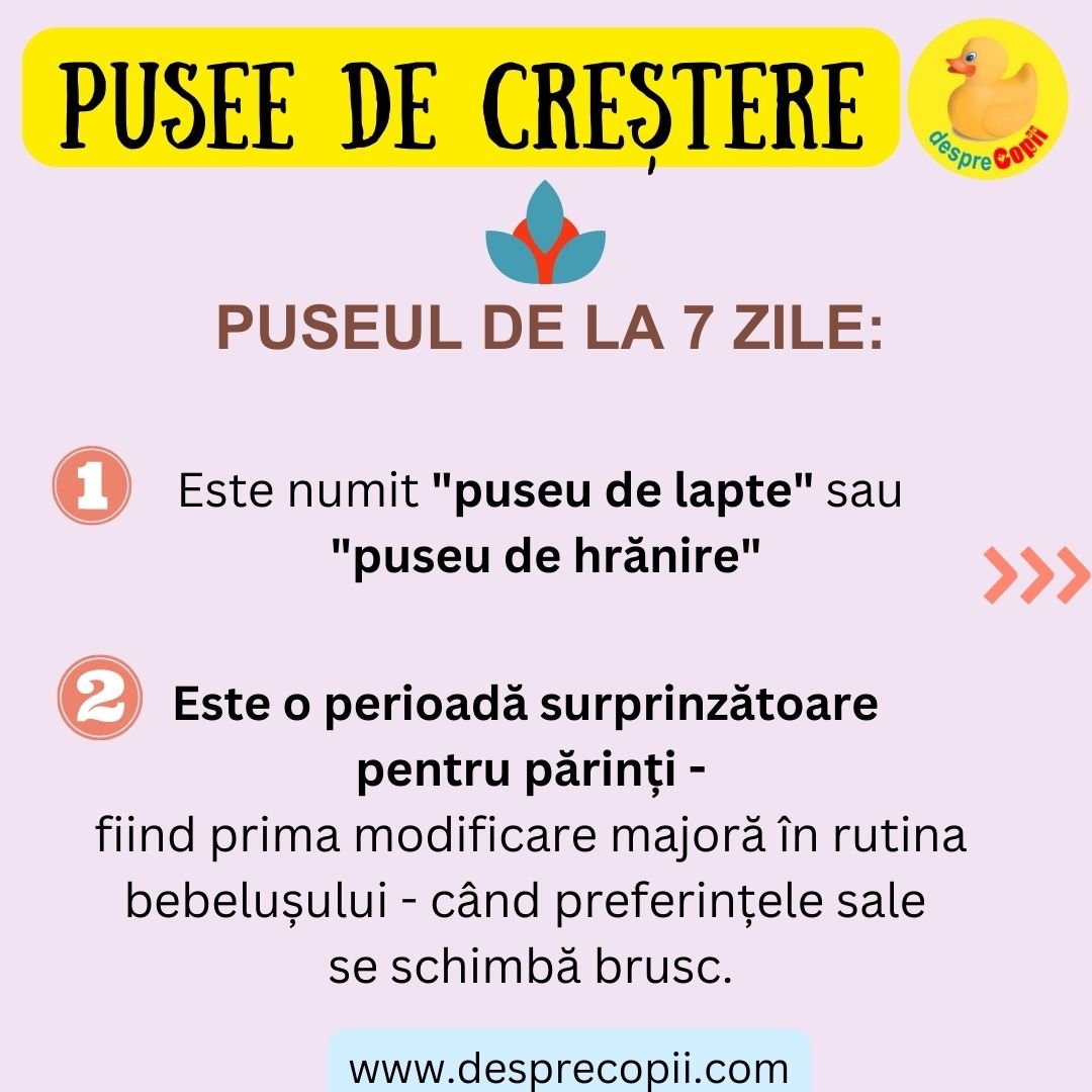 puseu de crestere la 7 zile 1