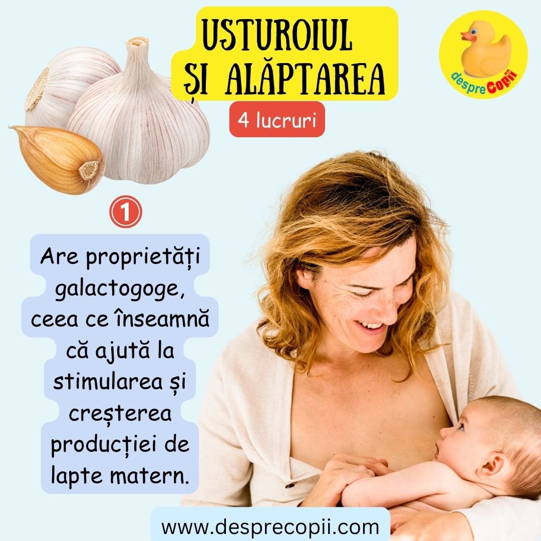 usturoi si alaptarea 1