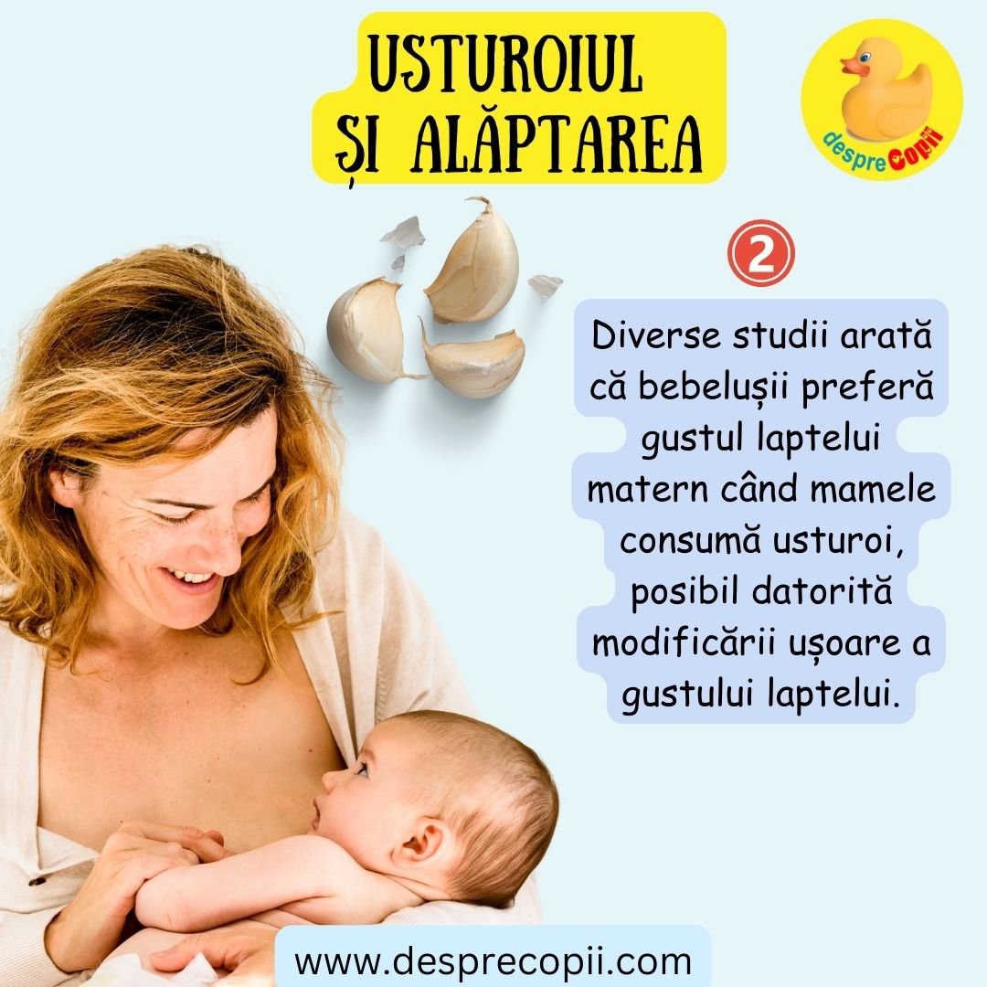 usturoi alaptare