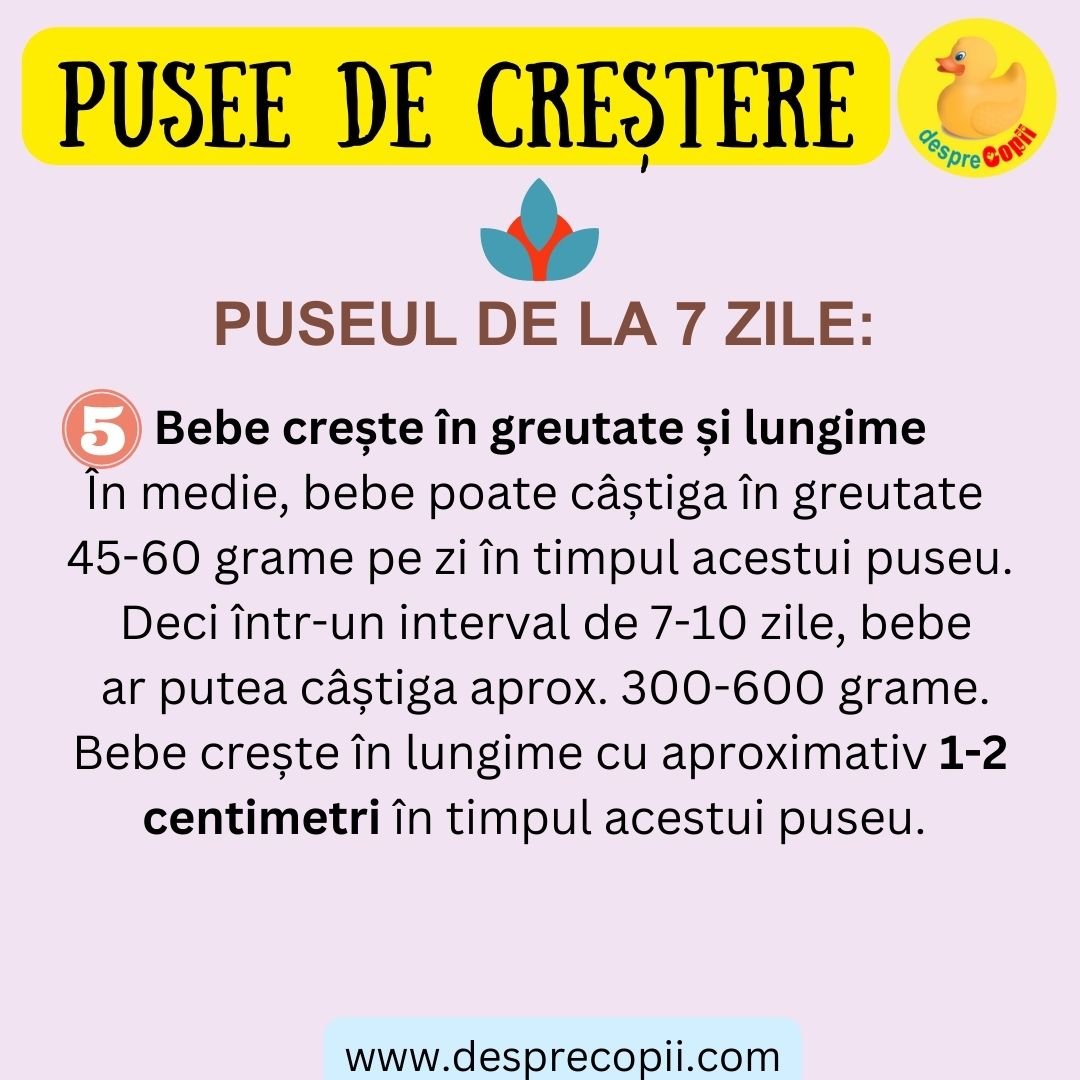 puseu de crestere bebelusi 7 zile