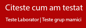 Cum am testat?