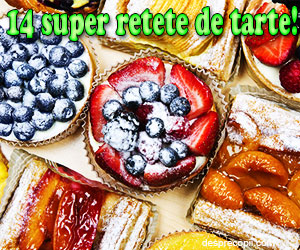 14 retete super gustoase de tarte