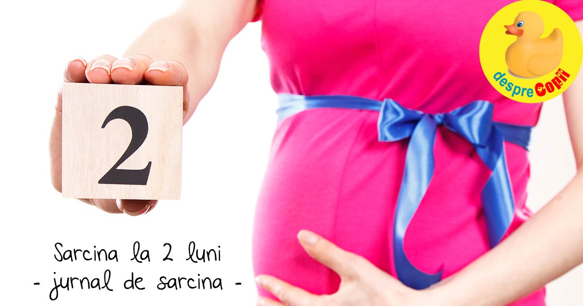 Primele 2 luni din odiseea sarcinii - jurnal de sarcina