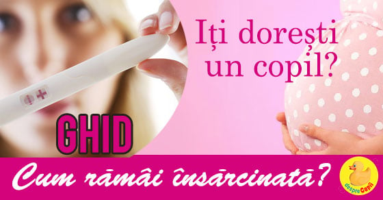 ghid-sarcina