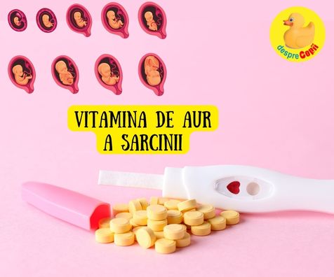 Acidul folic -  cum protejeaza sarcina si de ce este numita vitamina de aur a sarcinii - infografic