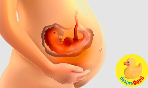 Acidul folic: cum protejeaza sarcina si de ce este numita vitamina de aur a sarcinii (infografic)