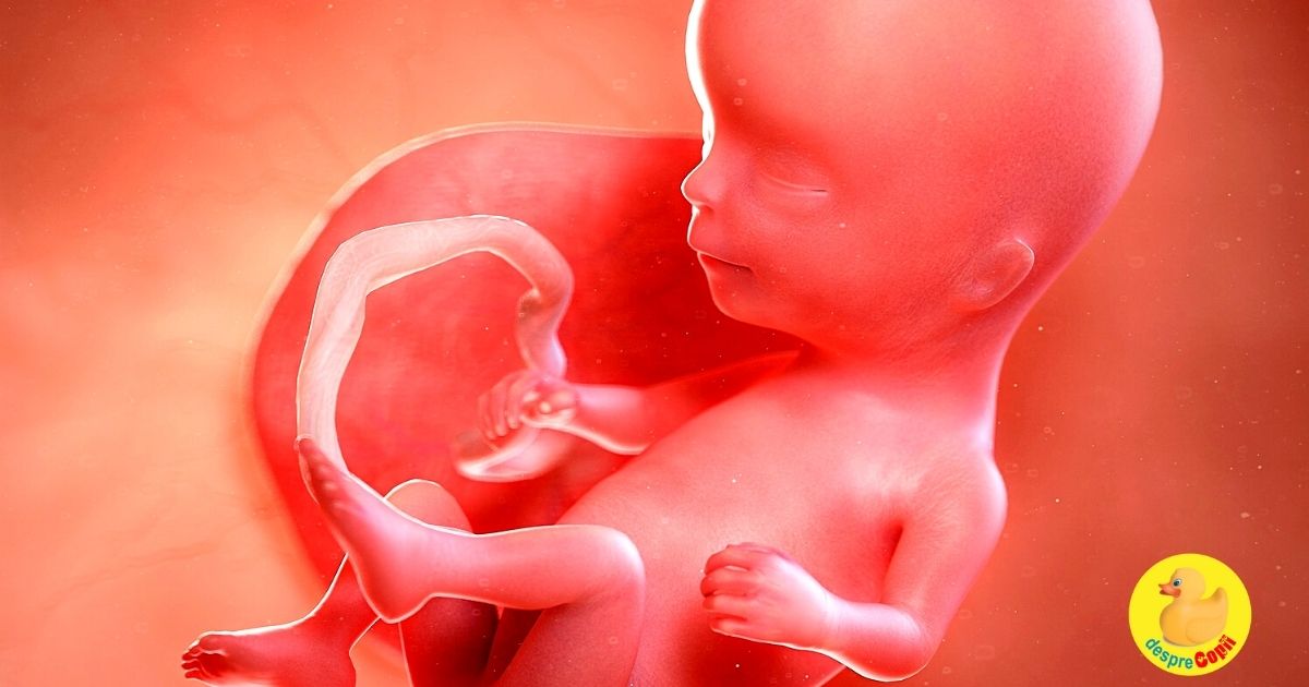Acidul folic: cum protejeaza sarcina si de ce este numita vitamina de aur a sarcinii (infografic)