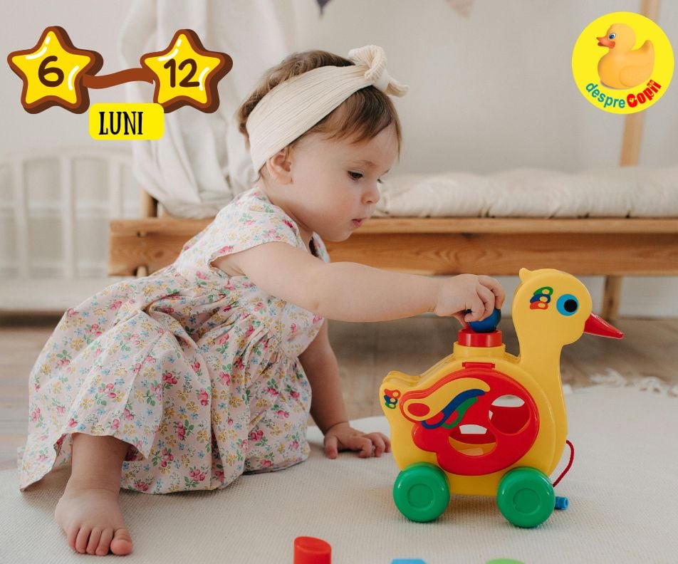 Activitati de joaca educative pentru bebelusi de 6-12 luni si cele mai bune jucarii educationale la aceasta varsta