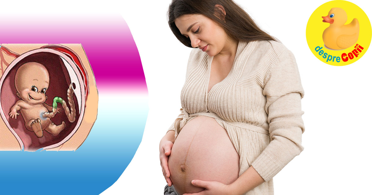 7 activitati pe care le face bebelusul inca din burtica mamei