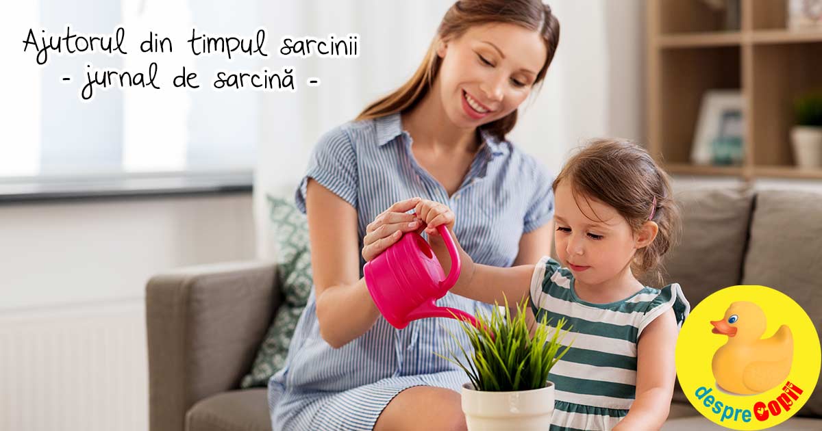 Ajutorul din timpul sarcinii -  cand soacra te ajuta vrei nu vrei - jurnal de sarcina